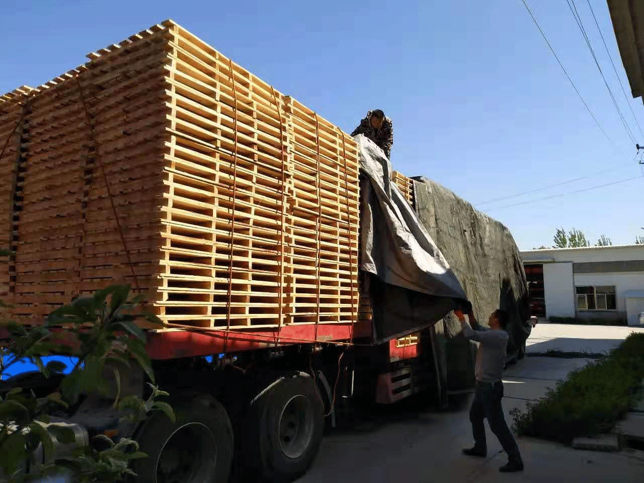 我公司为安徽阜阳某建材公司专属设计木质托盘